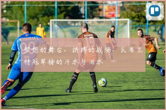 梦想的舞台，拼搏的战场，瓦洛兰特冠军榜的汗水与泪水